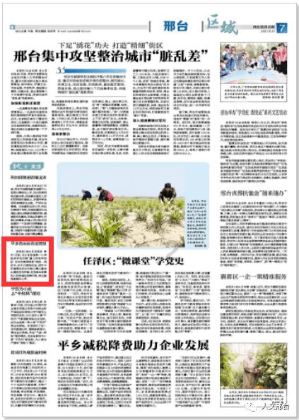 脑洞小老弟无实名认证
